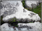 foto Parco nazionale del Burren